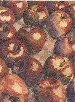 Manzanas rojas - VíCTOR CALVO