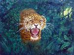 Jaguar - RAFAEL DíAZ MADERUELO