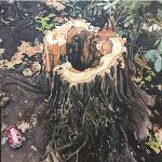 Acacia talada, Paseo del Prado - RAFAEL DíAZ MADERUELO