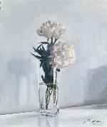 Peonias - RAFAEL DíAZ MADERUELO