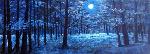 "Claro de luna en el bosque" - RAFAEL DíAZ MADERUELO