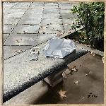 Hojas secas y otros restos en el paseo del Prado - RAFAEL DíAZ MADERUELO