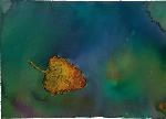 Otoño 2 - ANA E. SáNCHEZ