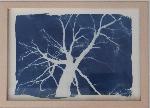 Árbol. Nocturno - ANA E. SáNCHEZ