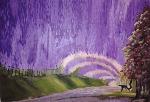 Wisteria - CONCHA SENDERUELA
