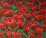 Tulipanes rojos - VíCTOR CALVO