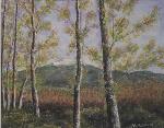Chopos Sierra de Segura - VíCTOR CALVO