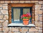 Maceta en ventana - VíCTOR CALVO