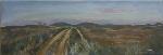 De camino a las Bodegas - JIMENA COLINAS